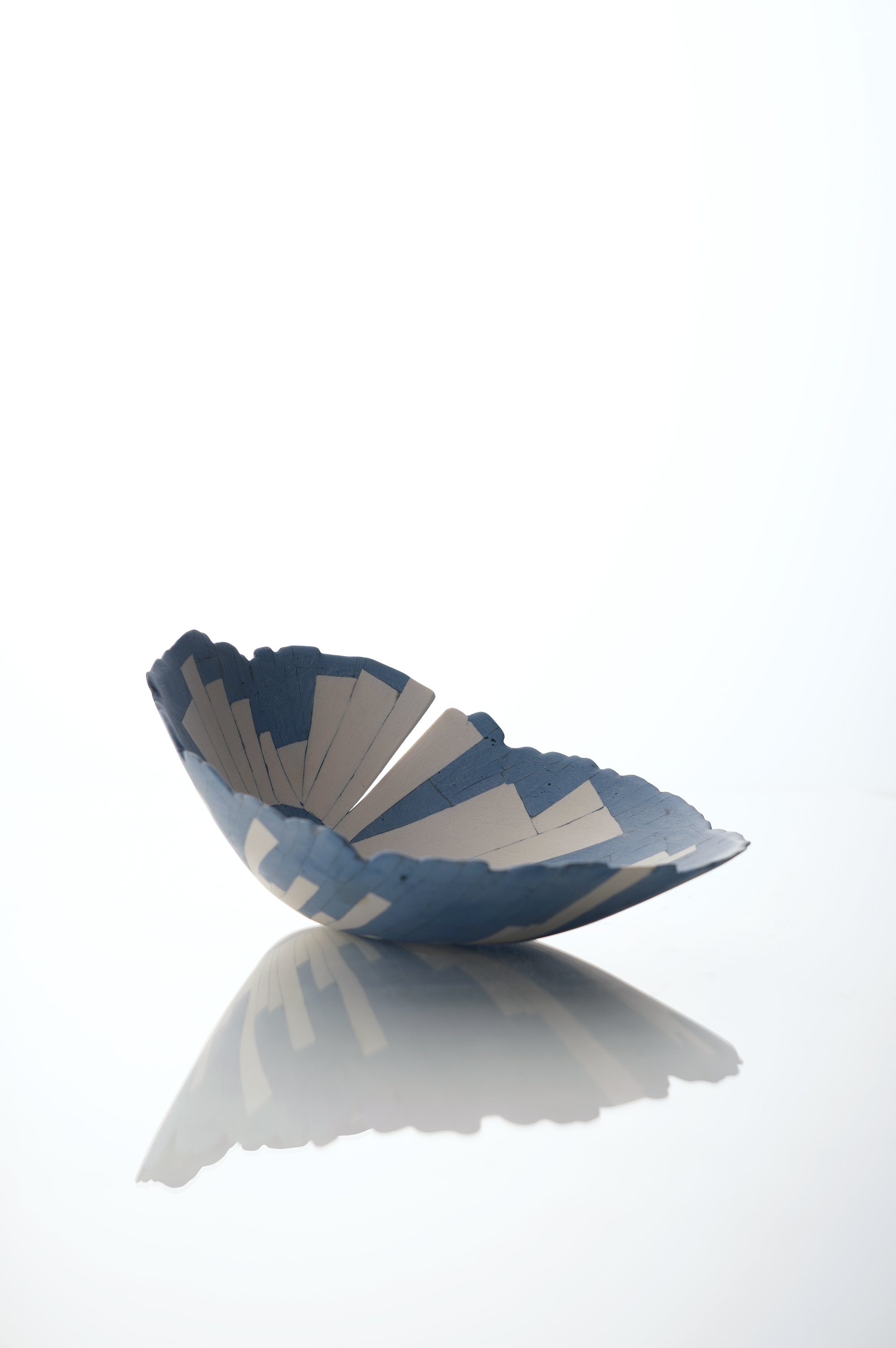 Limpet bowl BL01(2) : Limpet bowl BL01 : home-detail
