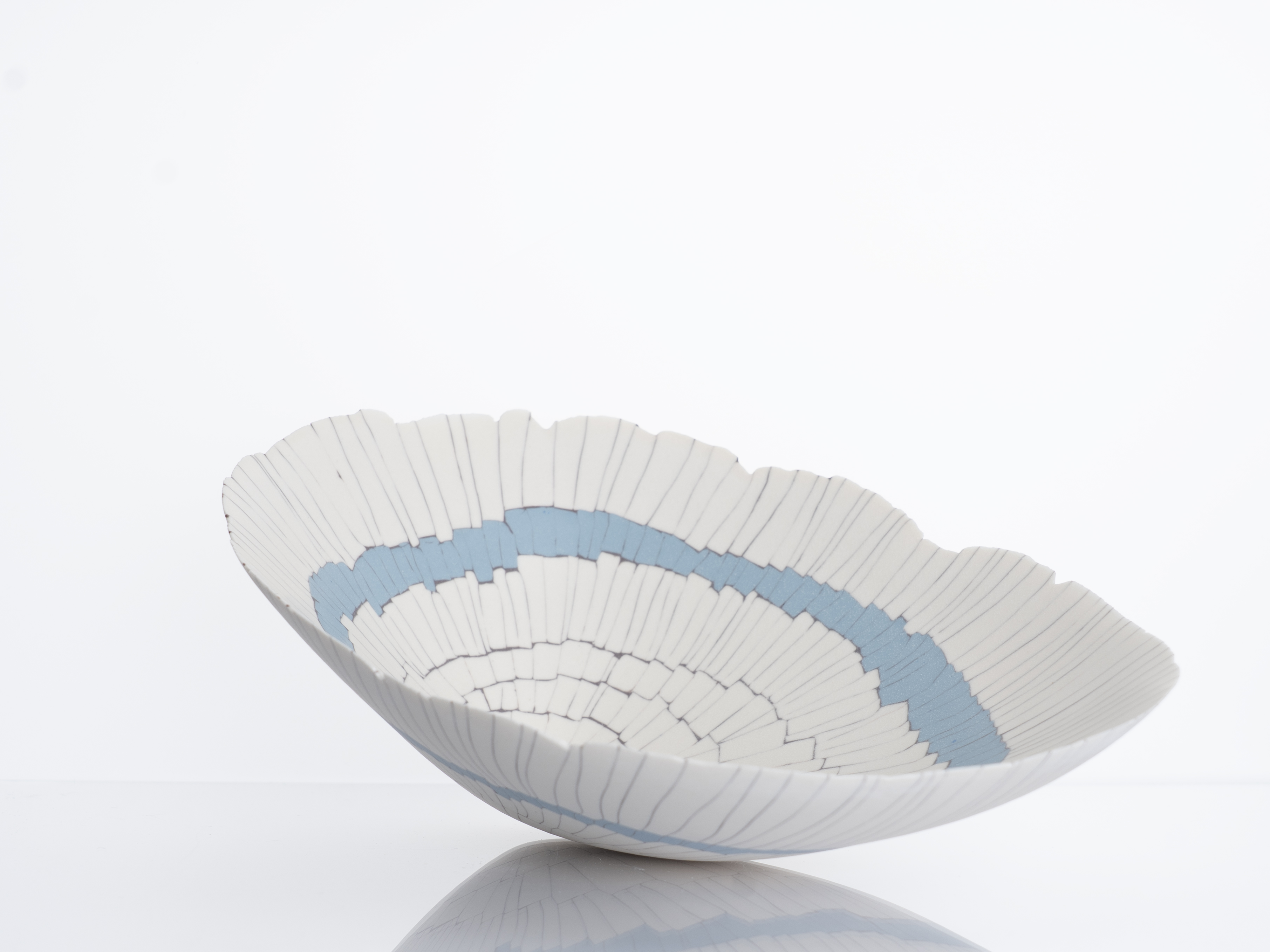 Limpet bowl BL02(1) : Limpet bowl BL02 : home