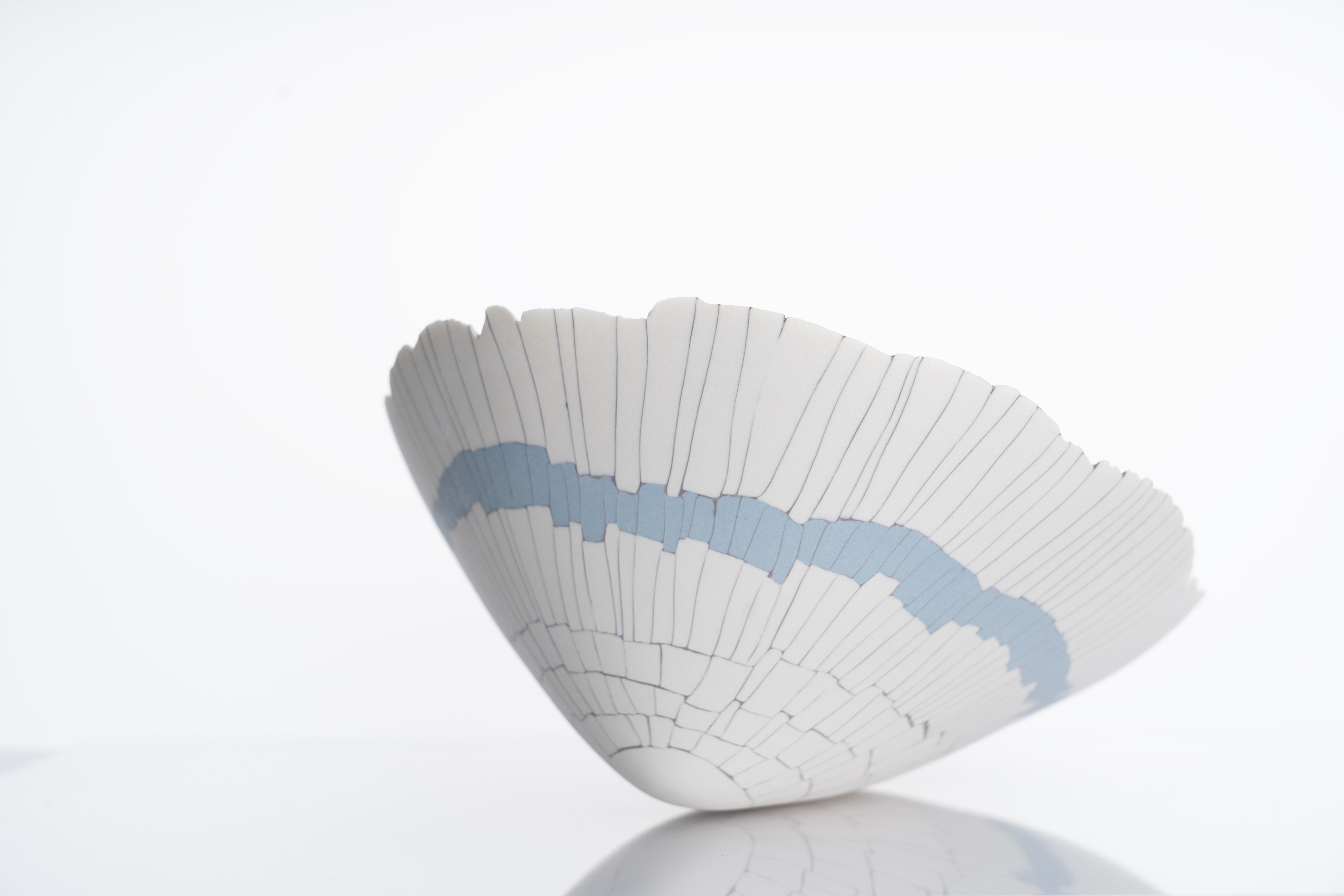 Limpet bowl BL02(2) : Limpet bowl BL02 : home-detail 