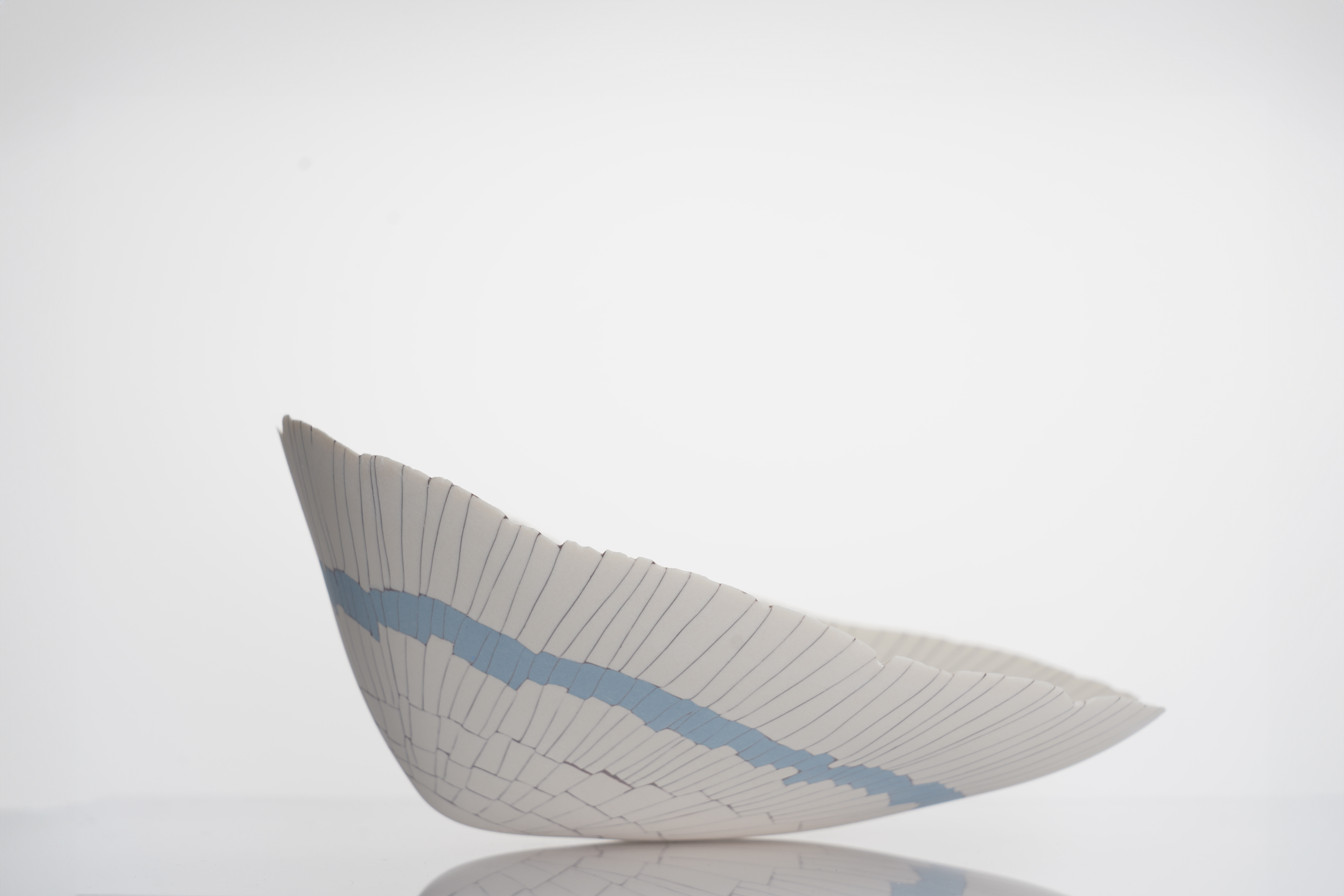 Limpet bowl BL02(3) : Limpet bowl BL02 : home-detail