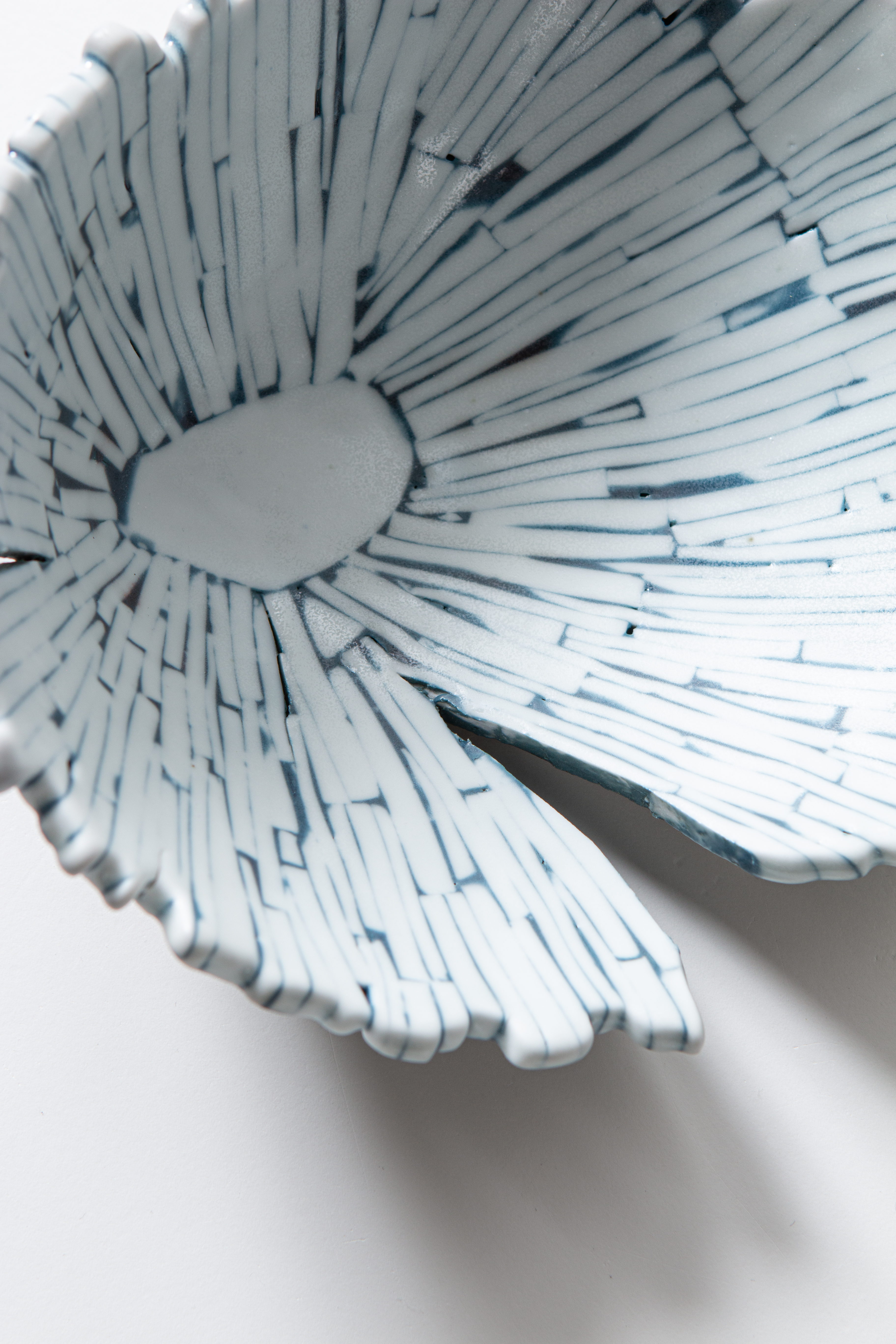 Shell series(1) : Shell series : home.