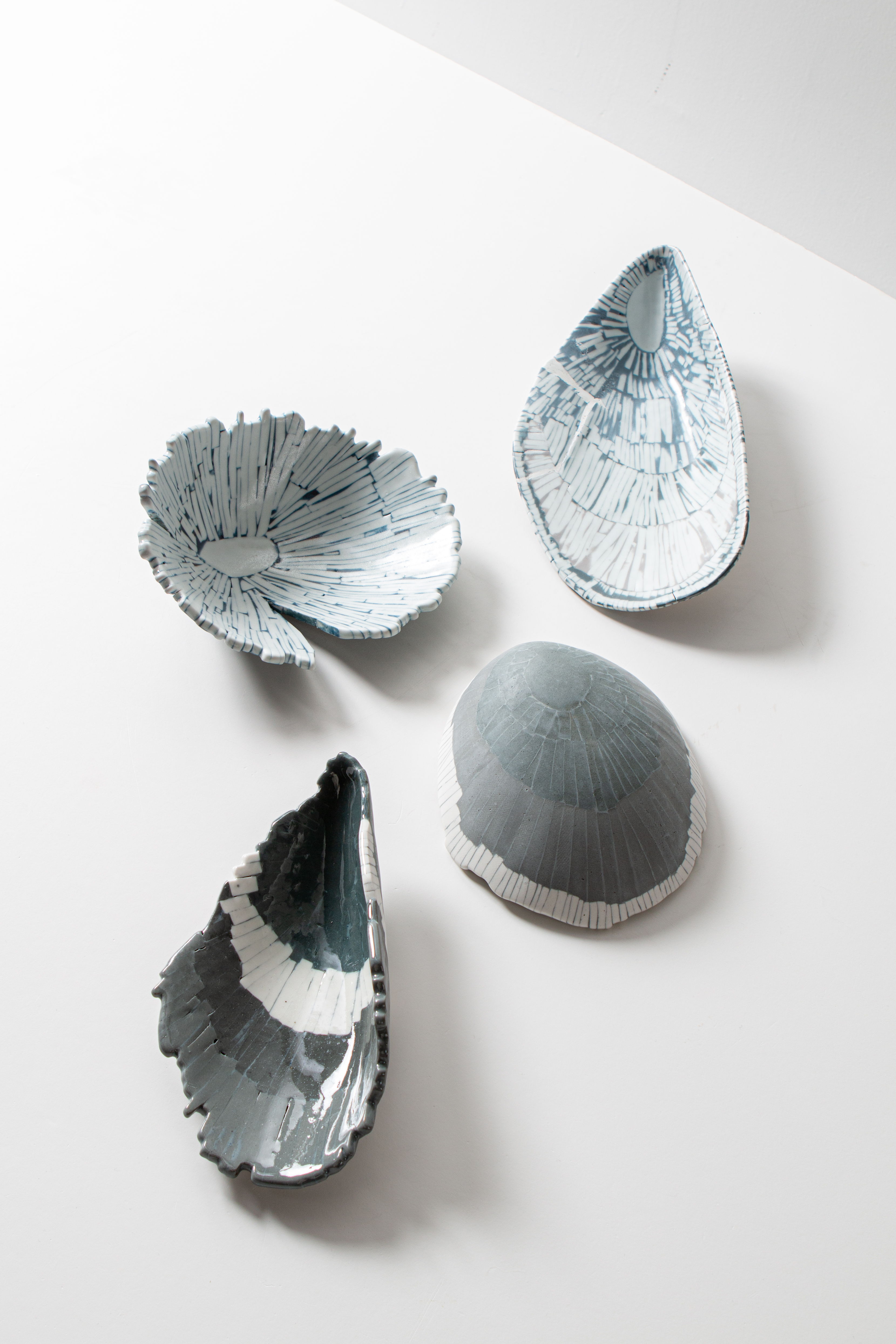 Shell series(2) : Shell series : home-detail