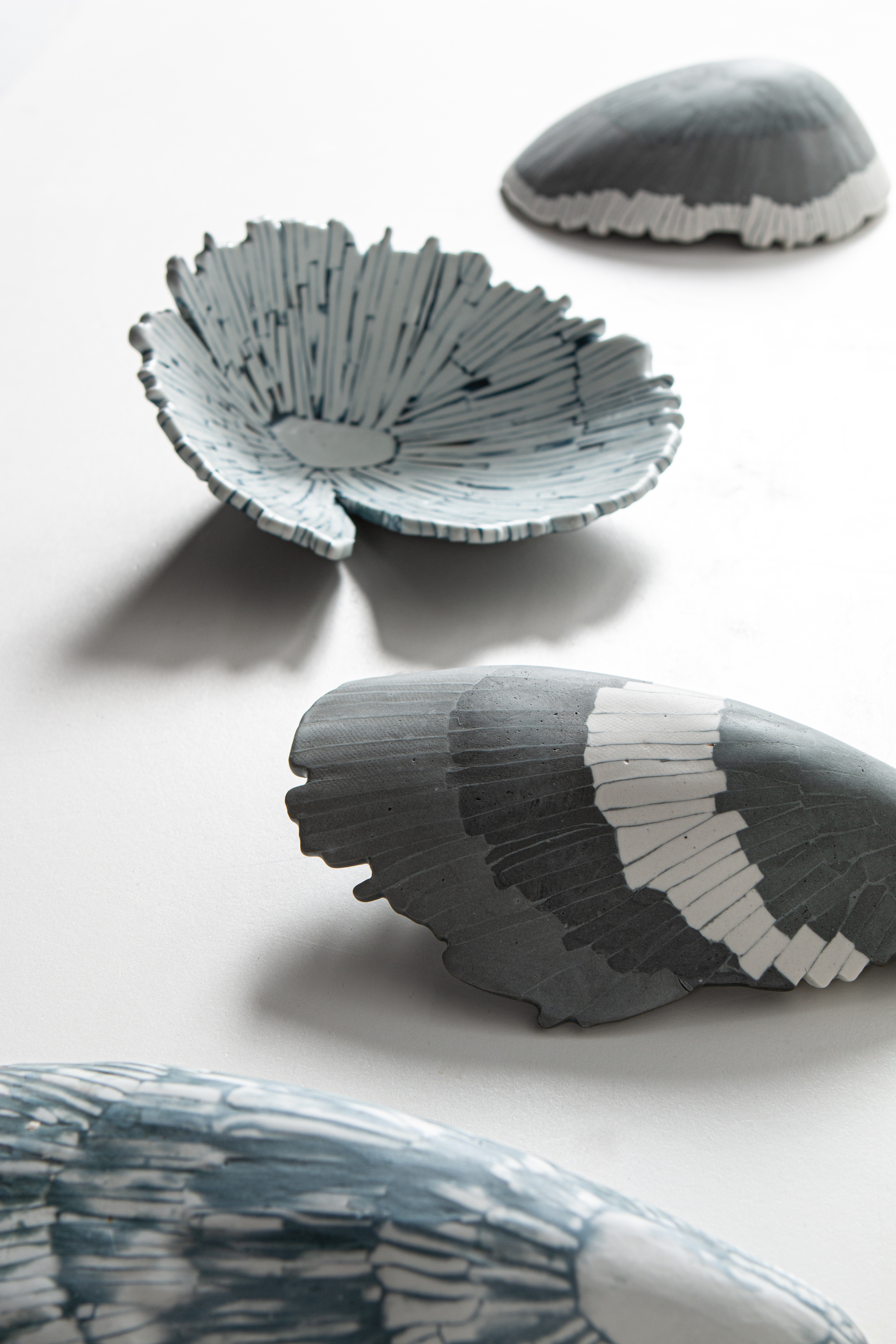 Shell series(3) : Shell series : home-detail