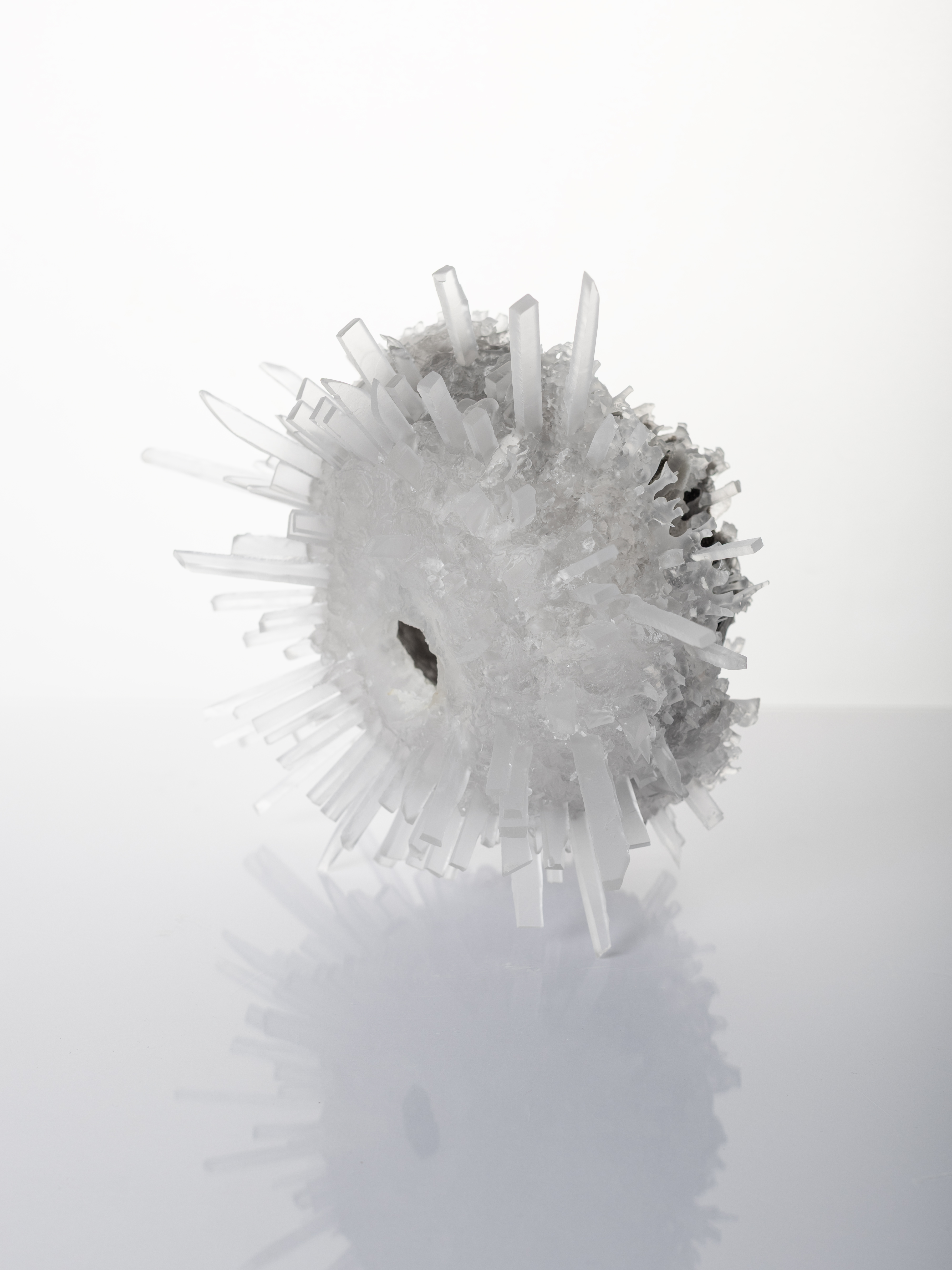 Urchin CL01(3)