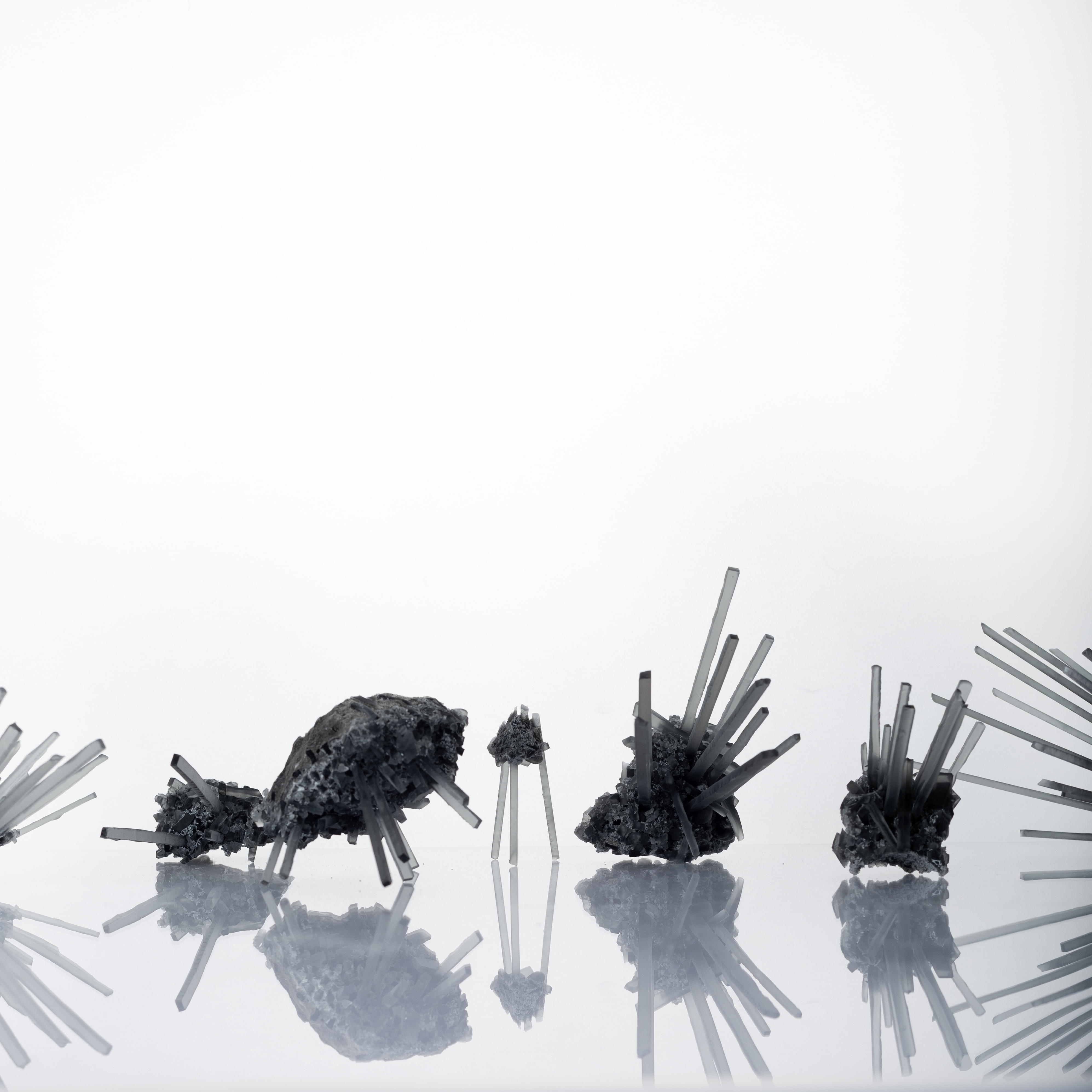 Urchin GR01(1)