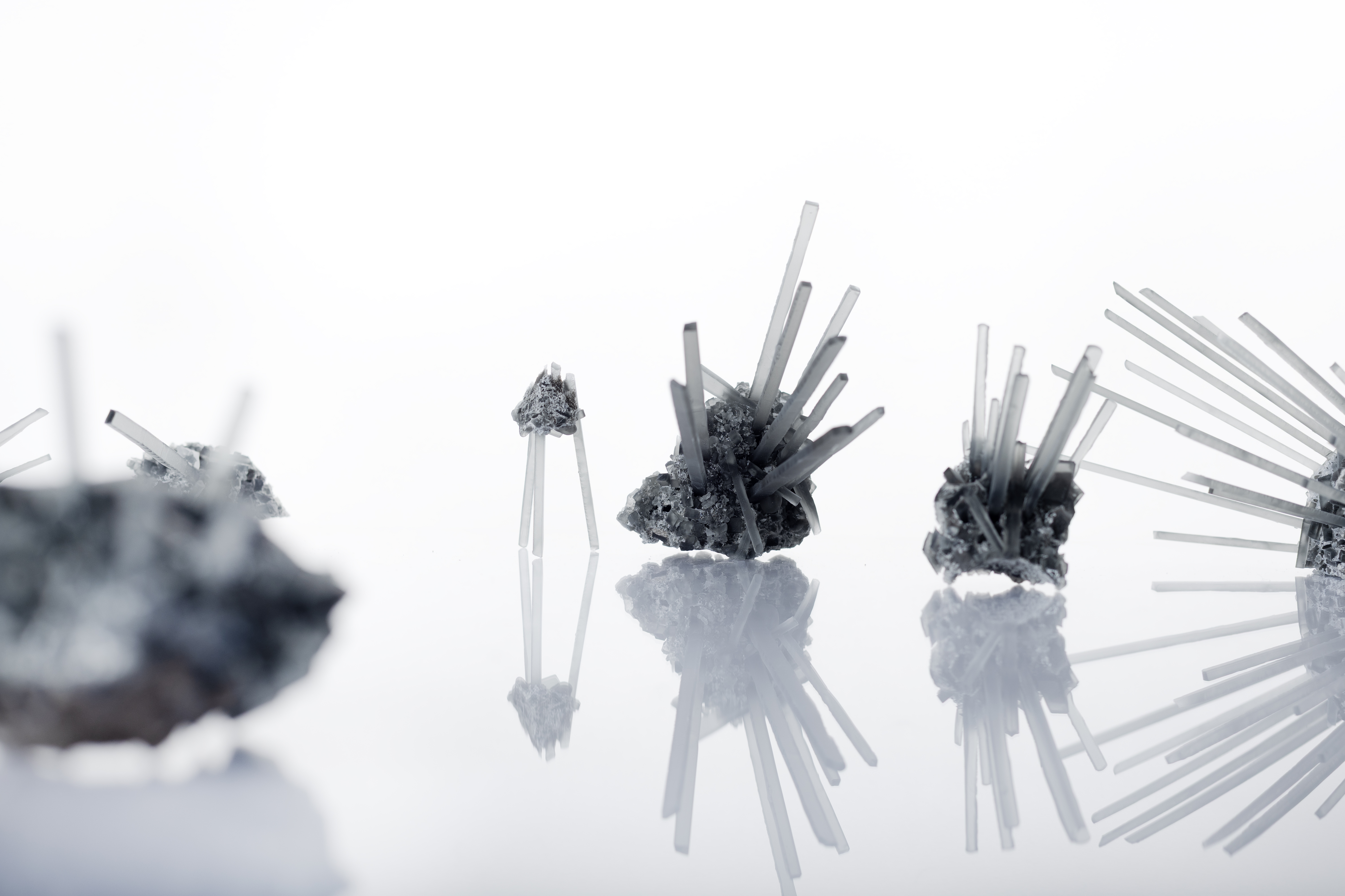 Urchin GR01(2)