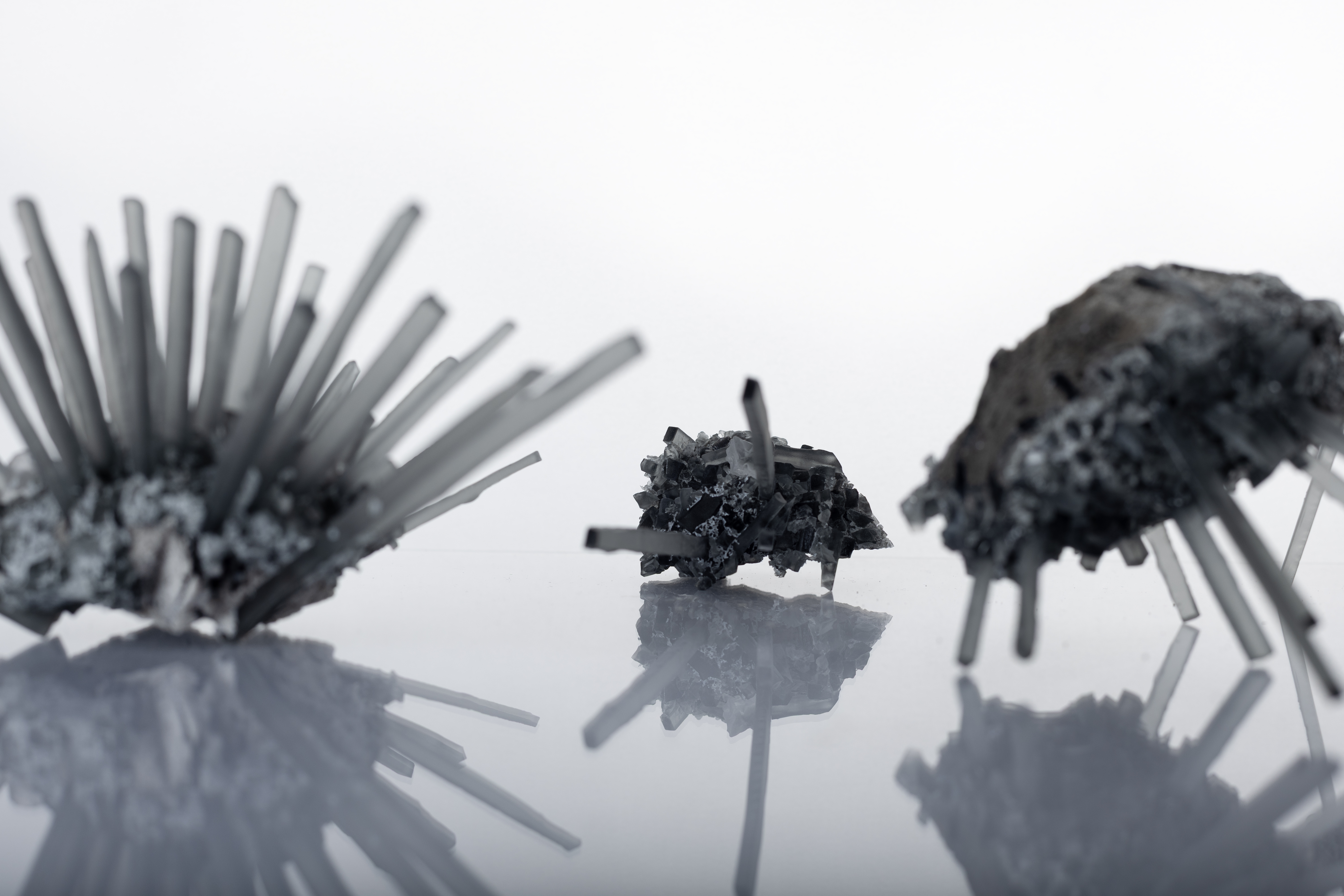 Urchin GR01(3)