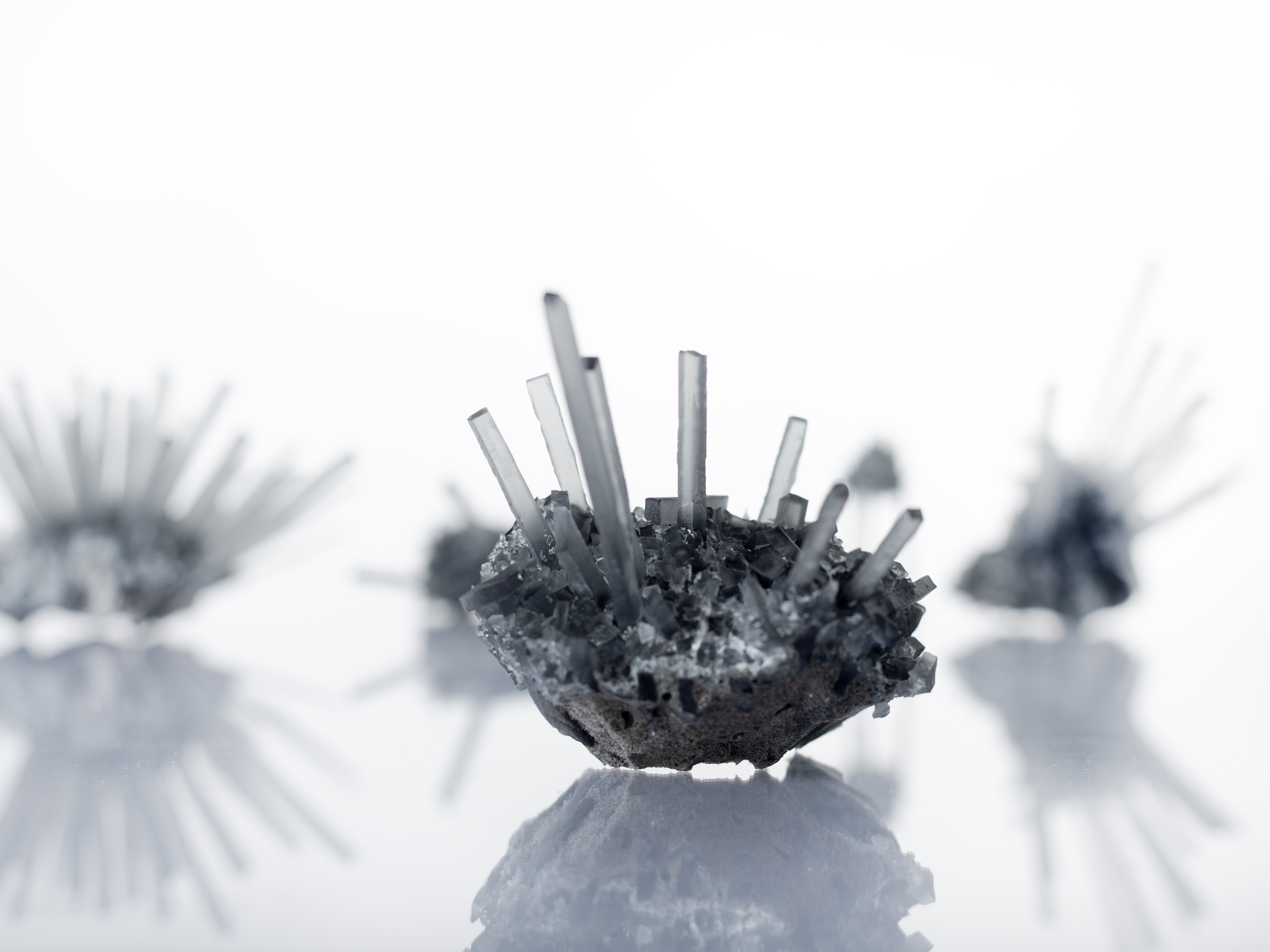 Urchin GR01(4)
